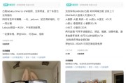梦见黑蛇闲鱼：LABUBU搜索量环比上涨1000%，供不应求下现租赁新形式