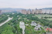 梦见黑蛇西宁市举办六五环境日主题宣传活动