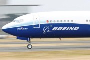 梦见黑蛇美国法官取消原定对波音737 MAX坠机事件的审判
