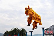 梦见黑蛇（文化中国行）壮乡狮舞闯南洋：脚踏“云桩” 饮誉海内外